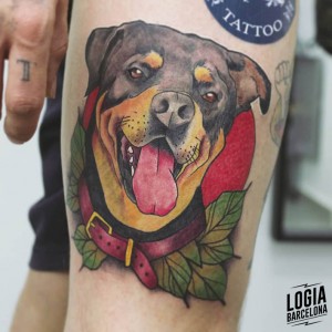 tatuaje_pierna_rottweiler_logia_barcelona_pablo_cano 